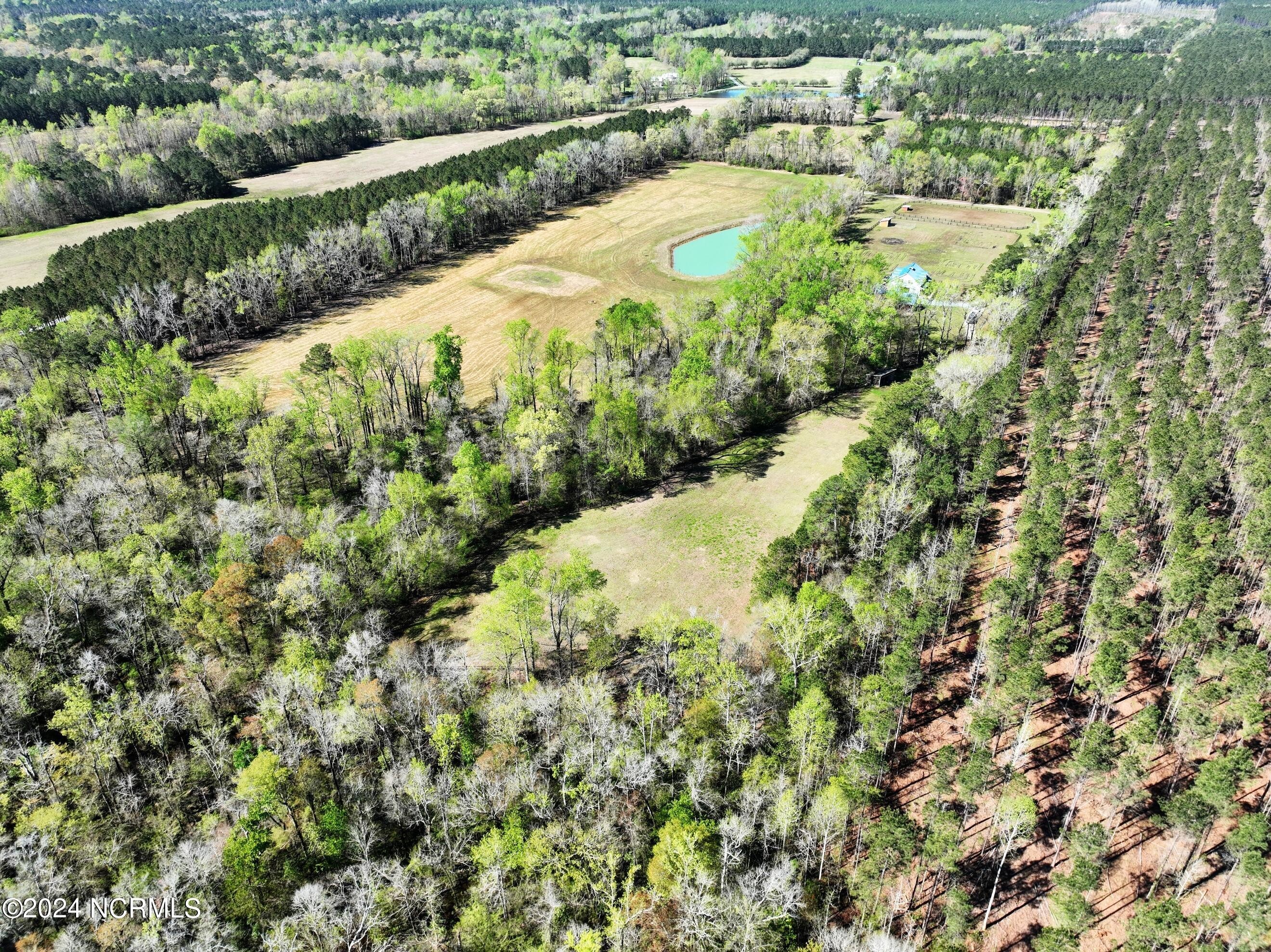 22. 4370 Us-Hwy. 117 S. (20+/- Acres)