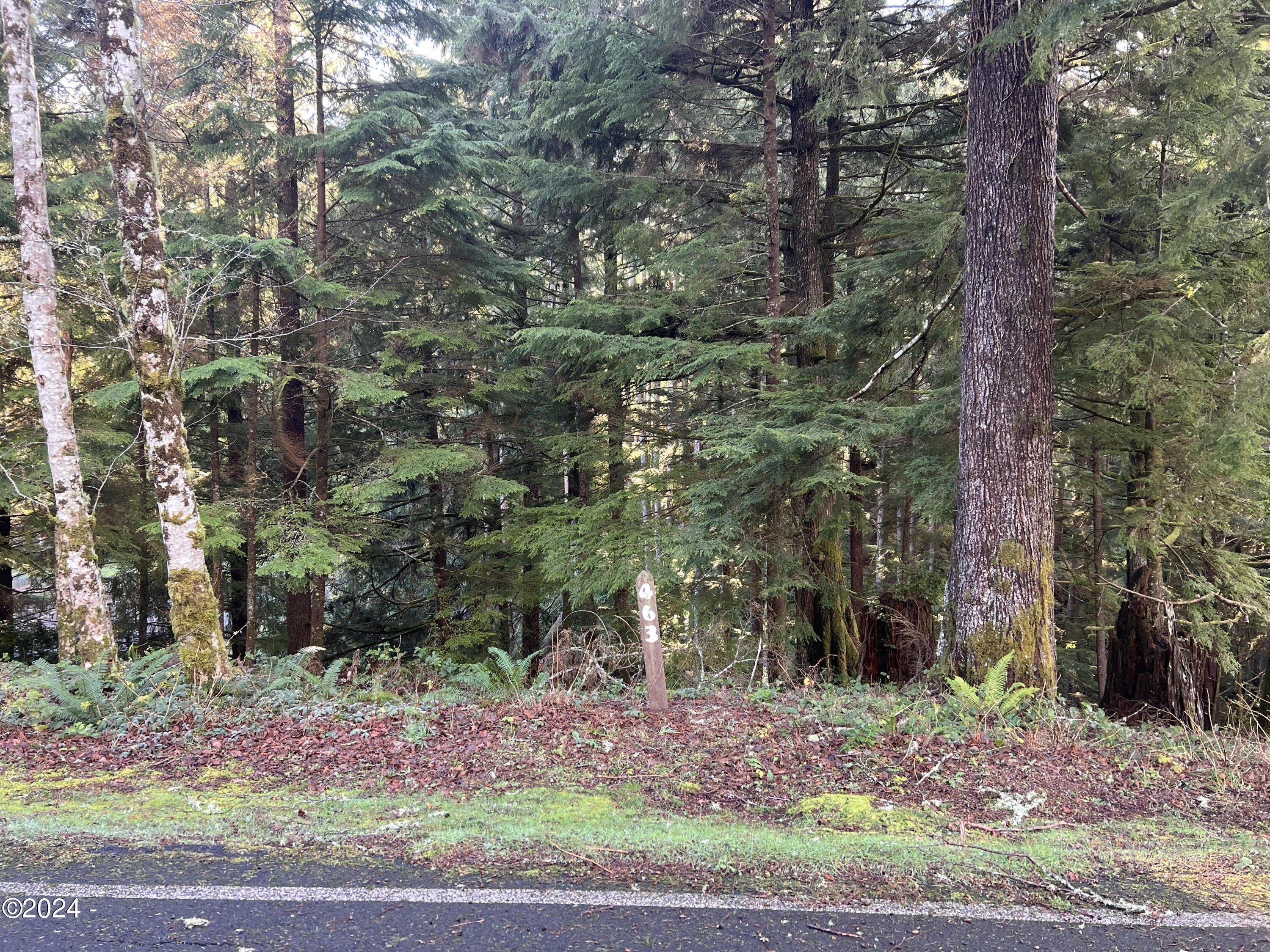 1. 463 Salishan Hills