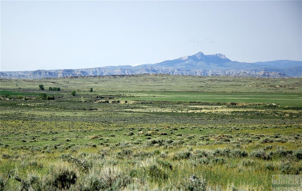 2. Nhn Brushland Drive, Clark, Wy