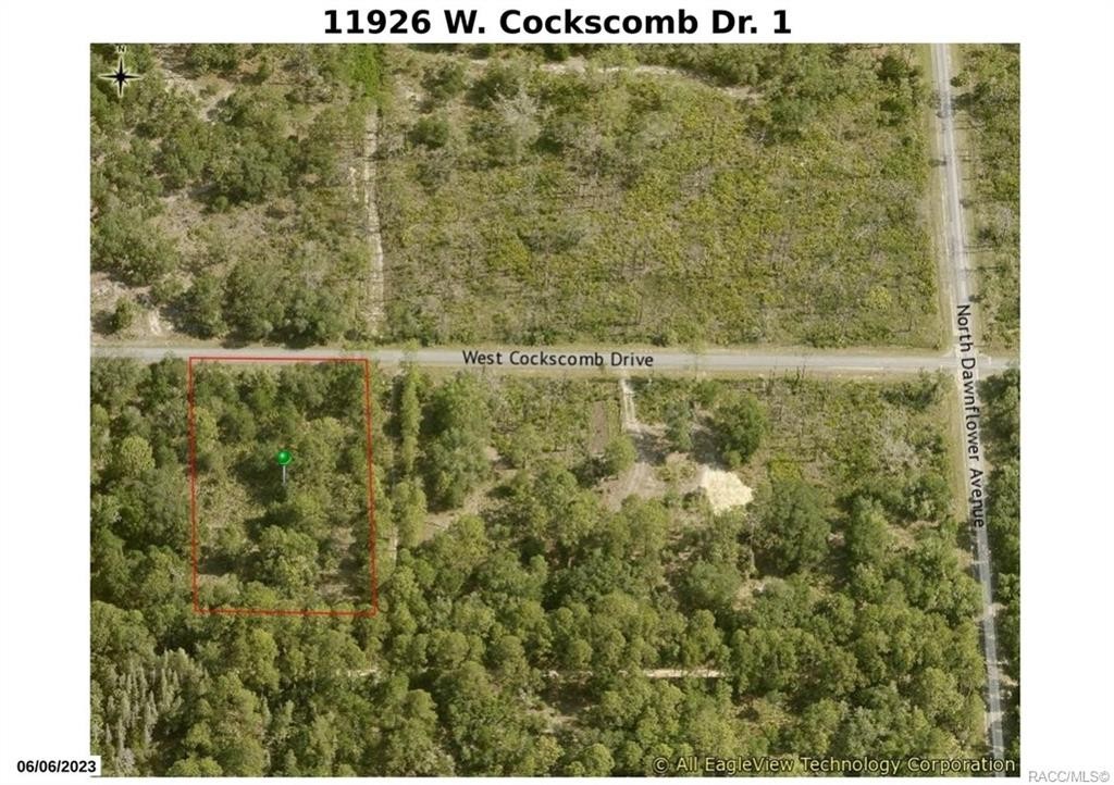 1. 11926 W Cockscomb Drive