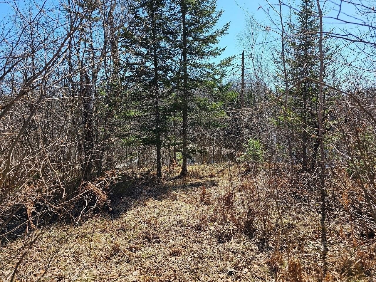 10. Lot 9 Weber Lake Dr