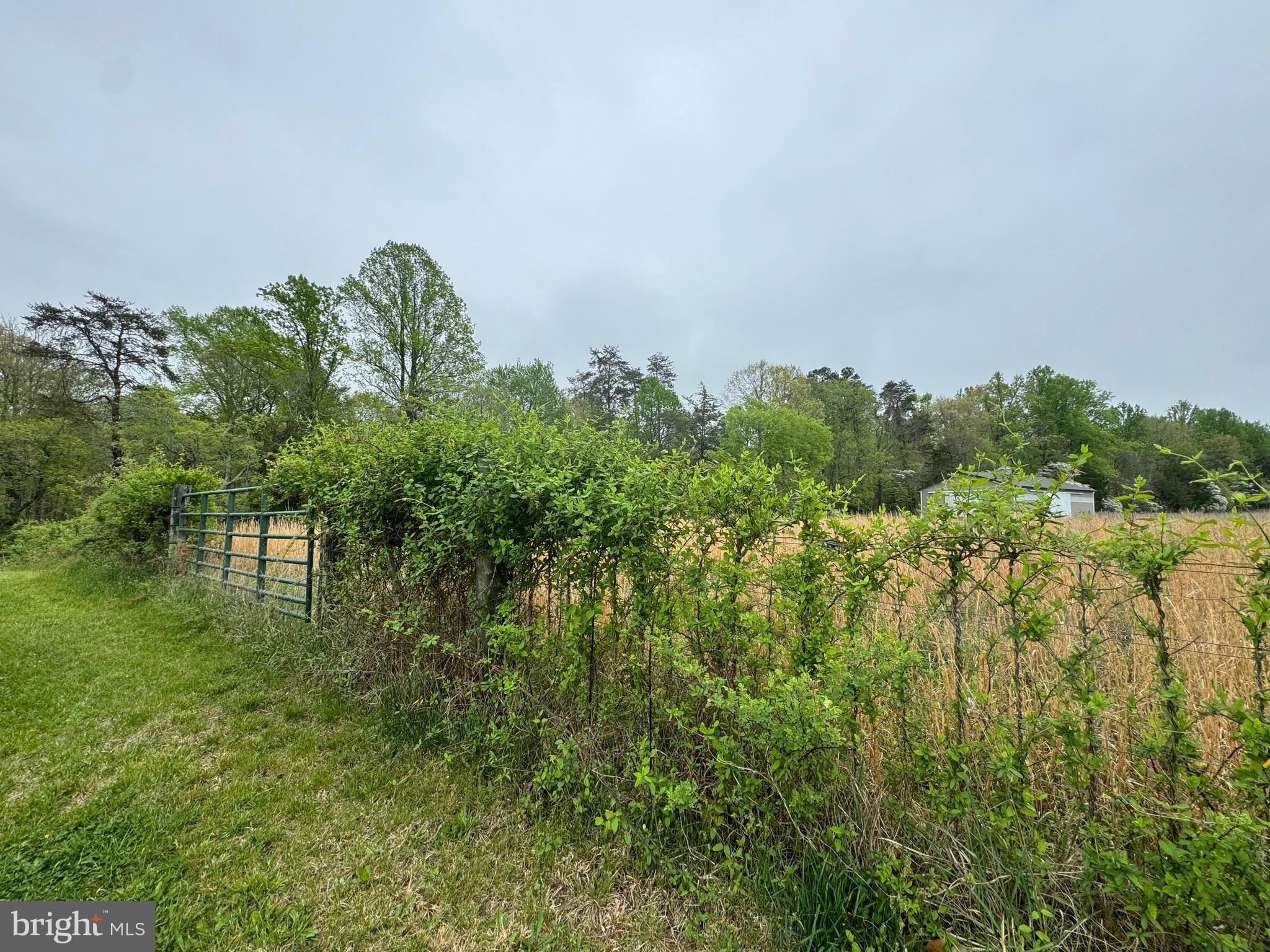 14. Lot 3 Pennfields Drive