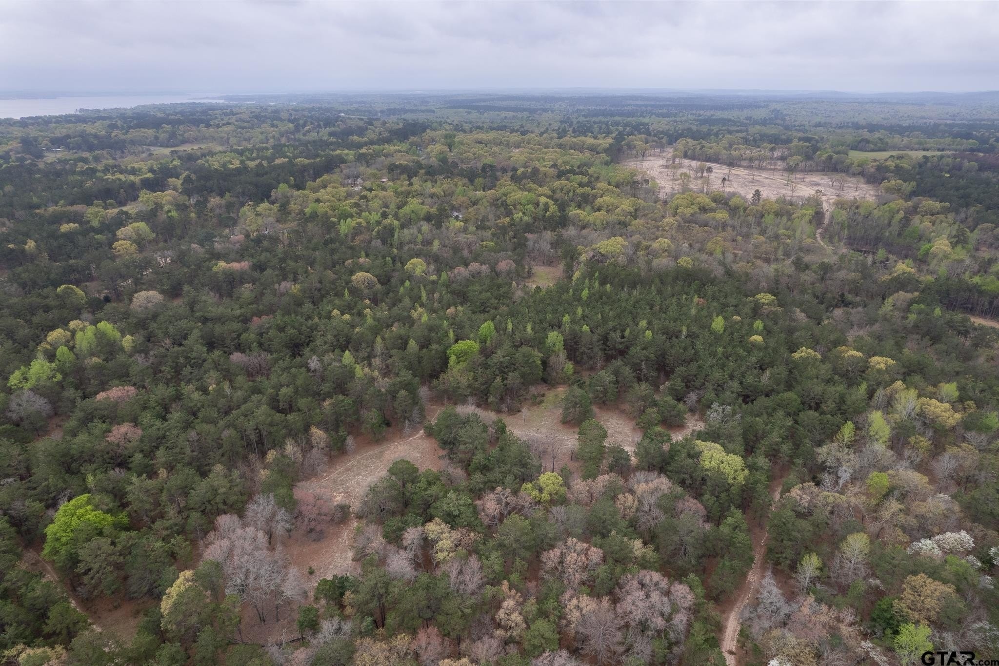 3. 3719 Pine Wood Way (North 10.625 Acres)