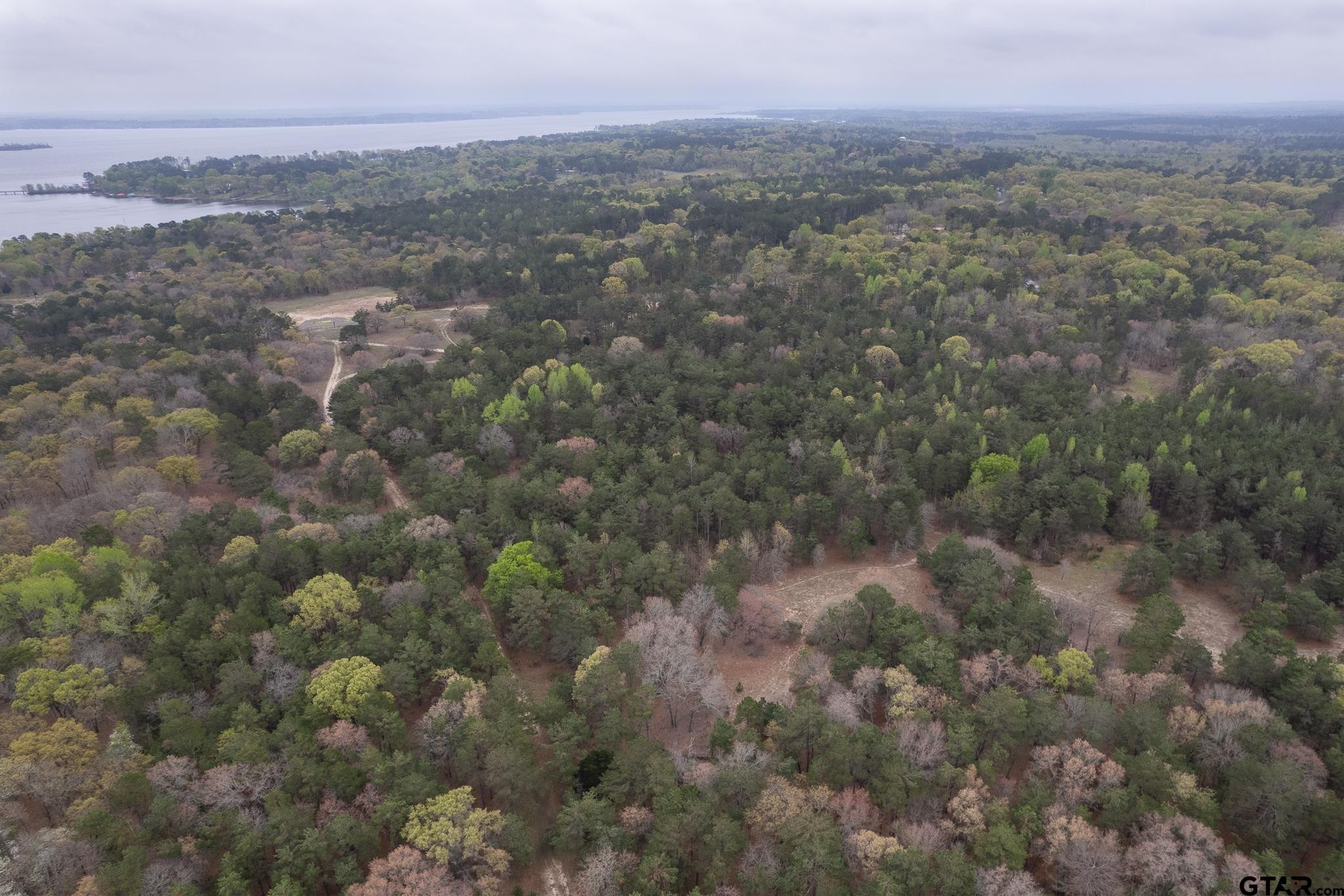 4. 3719 Pine Wood Way (North 10.625 Acres)