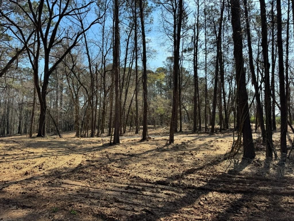 4. 107 Hickory Flat Road Lot 2