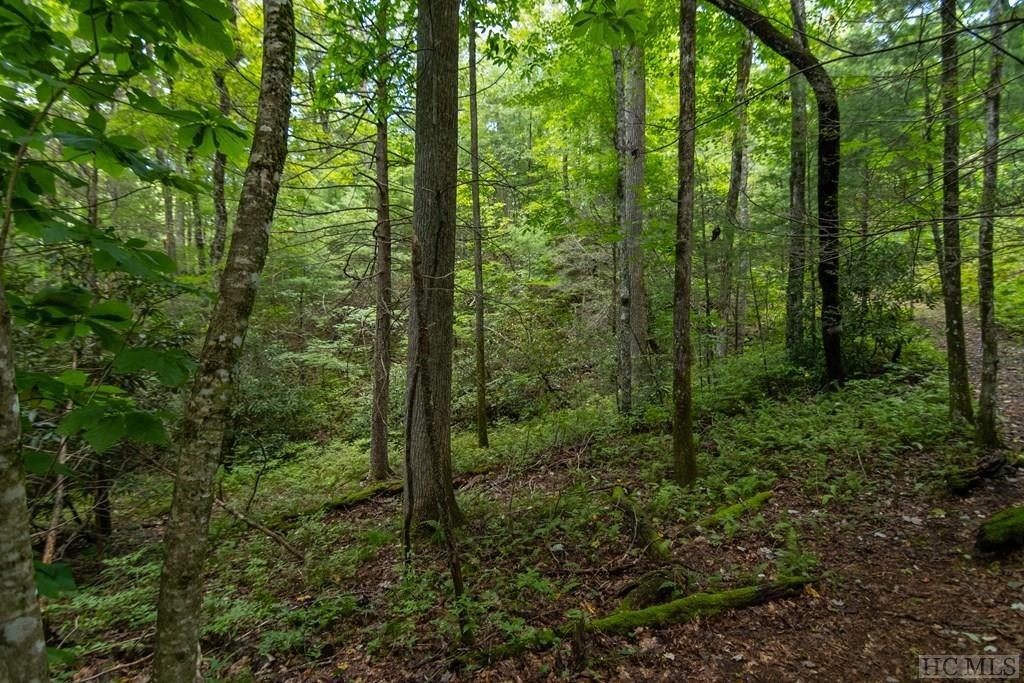 25. 0 Gorge Trail Road