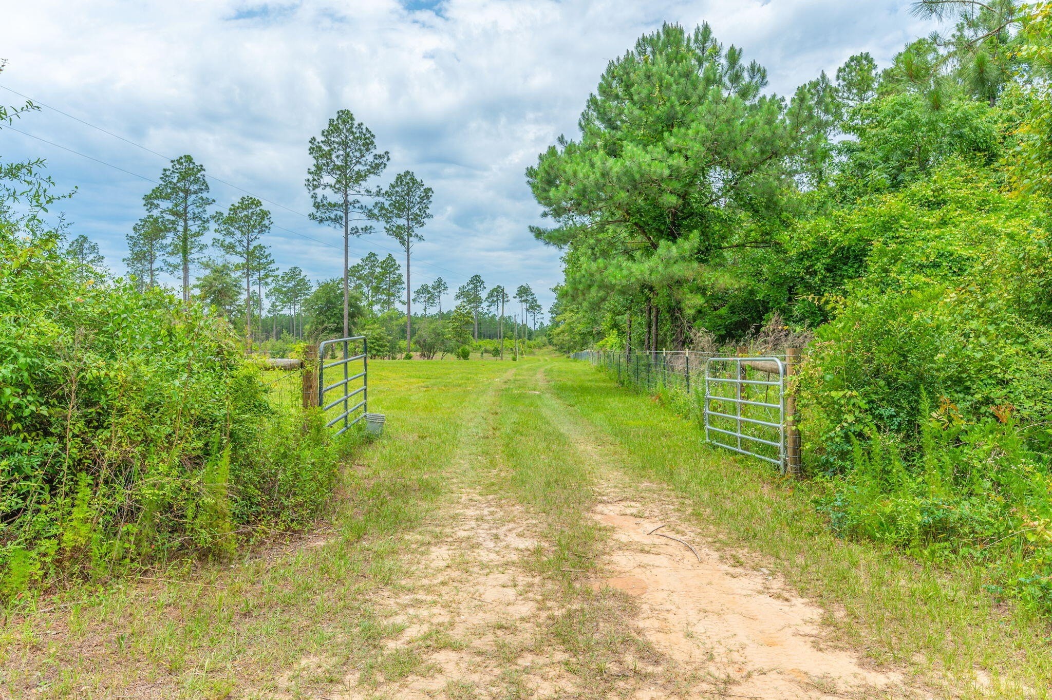 2. 10 Acres Buck Tyner