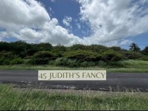 1. 45 Judith's Fancy Qu