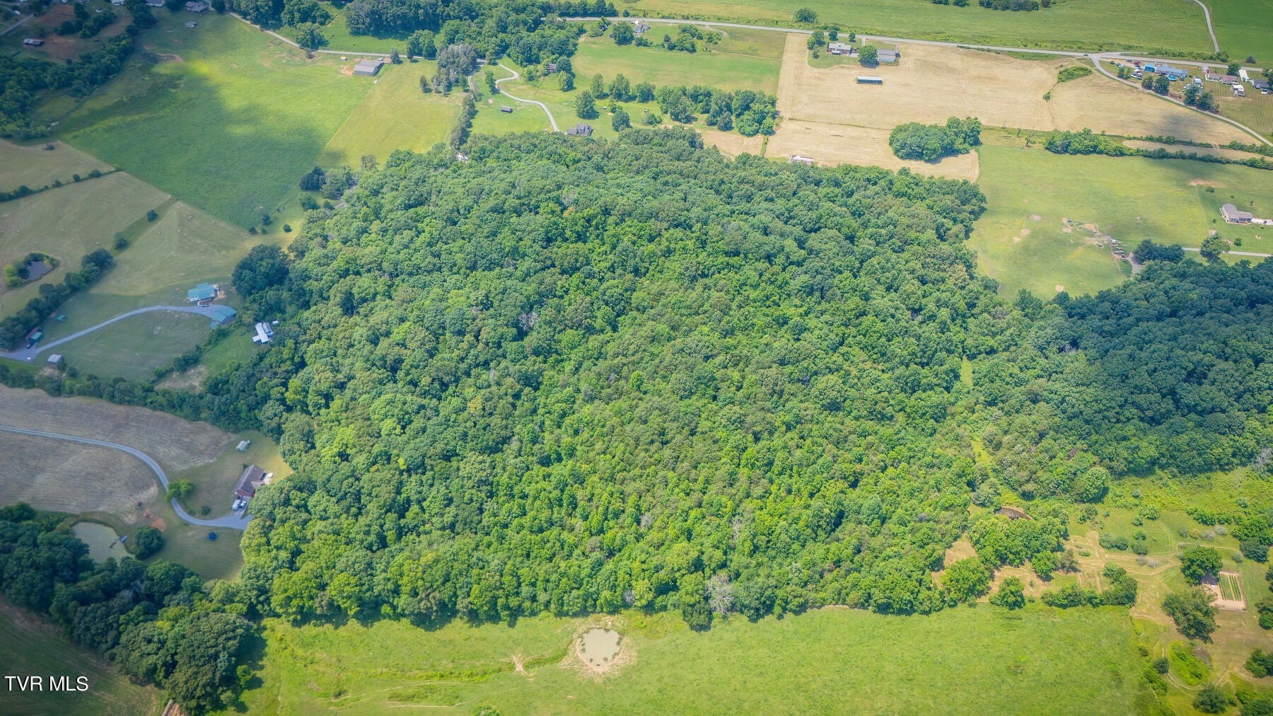 2. 0 Carters Valley Loop