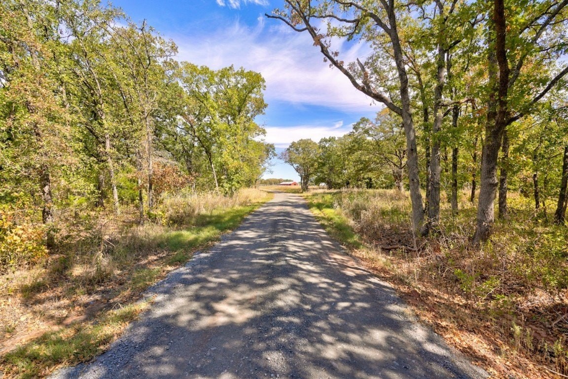 16. 6.93 Acres Moccasin Trail