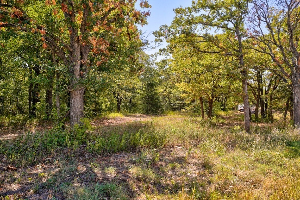 11. 6.93 Acres Moccasin Trail