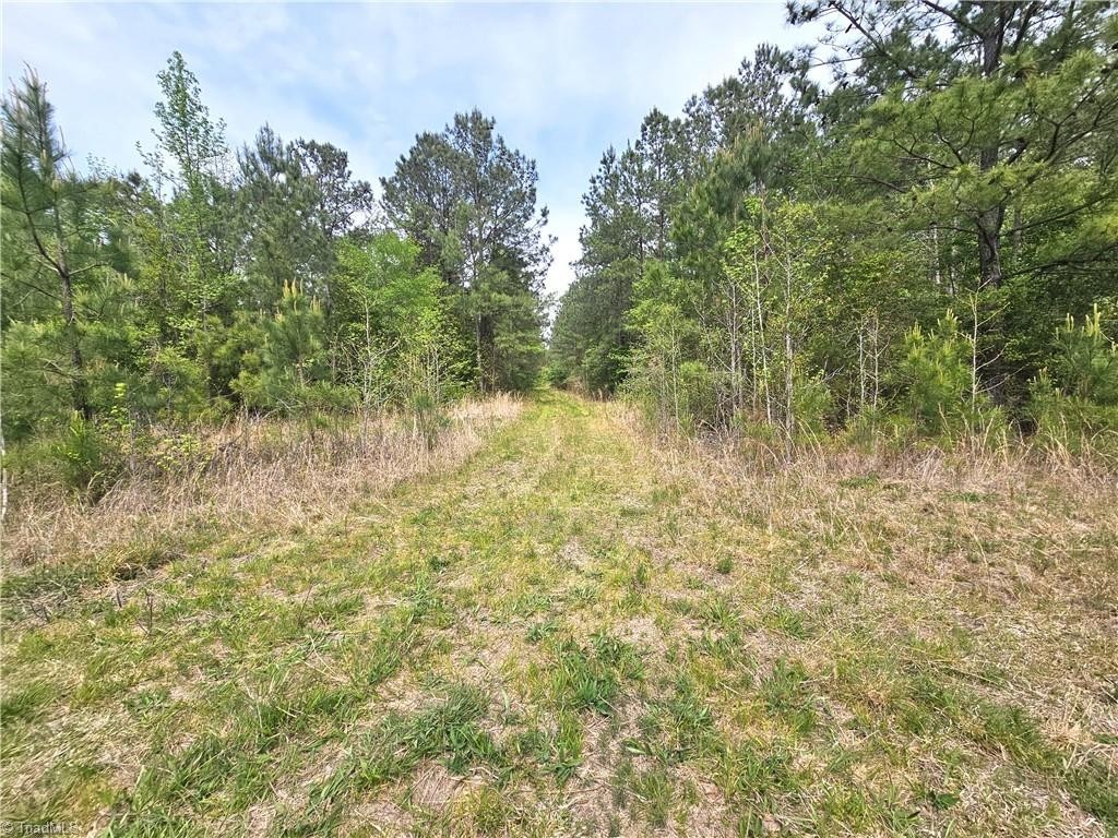 9. Xx 56 Acres+- Country Road