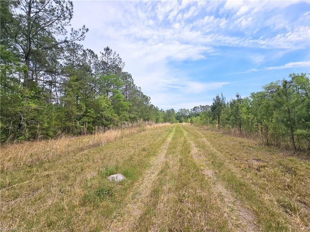 8. Xx 56 Acres+- Country Road