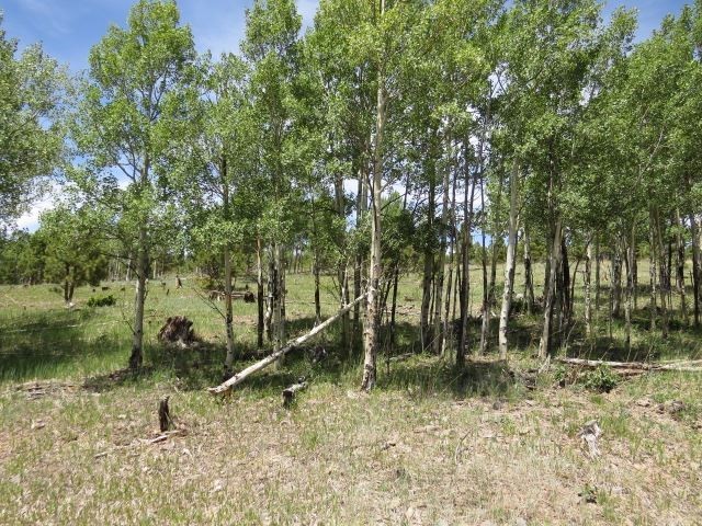 1. Tbd Beaver Loop Lot 152