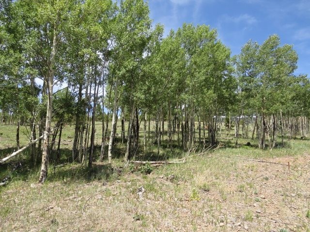 2. Tbd Beaver Loop Lot 152