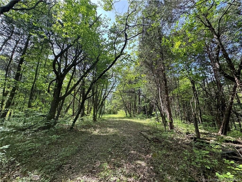 4. 28.677 +/- Ac Miles Road