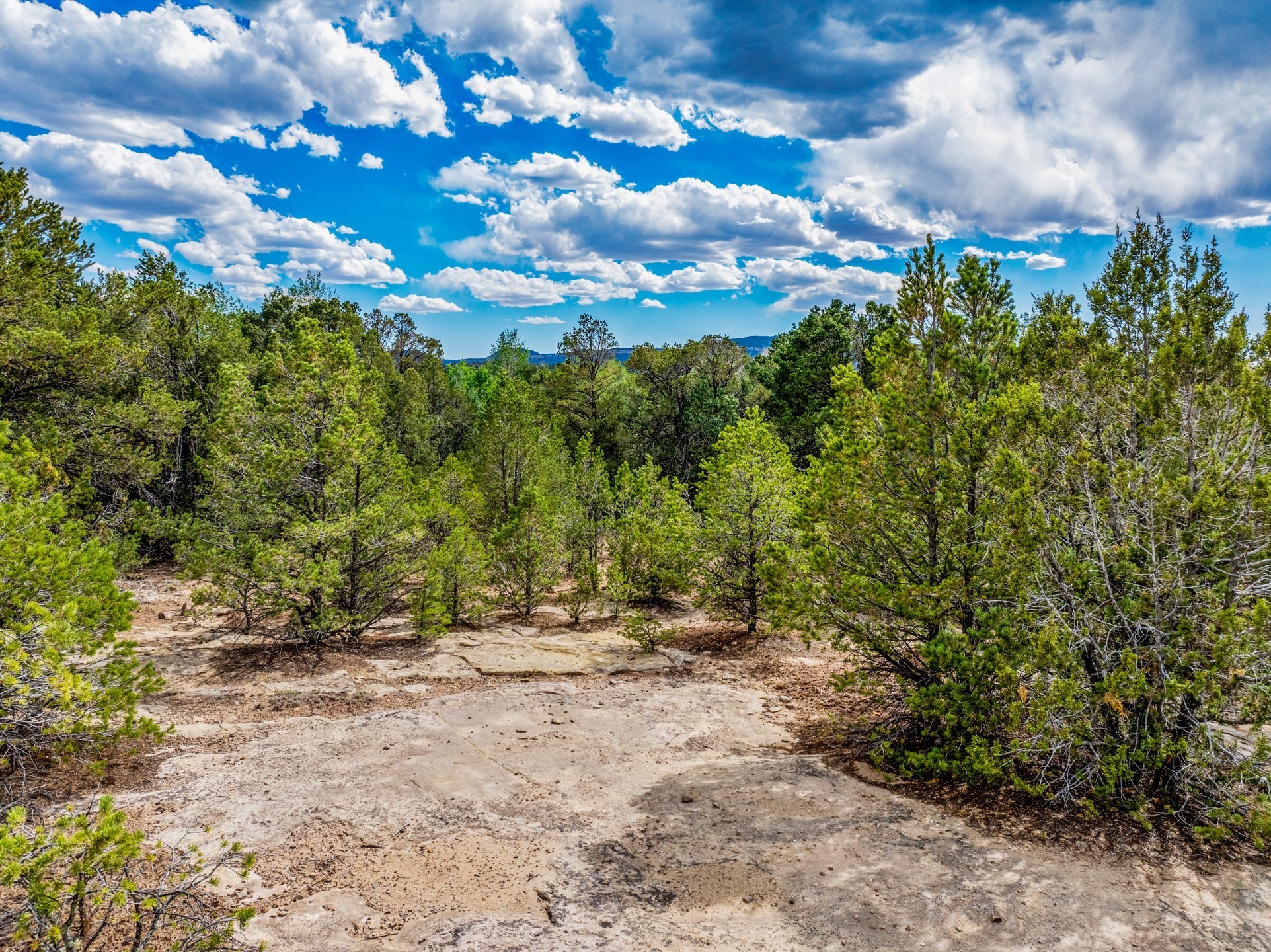 1. 2.38 Acres Old Colonias