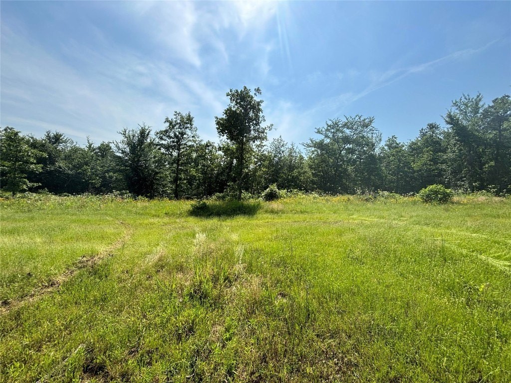 10. NE Cloudy Nashoba Trail Road