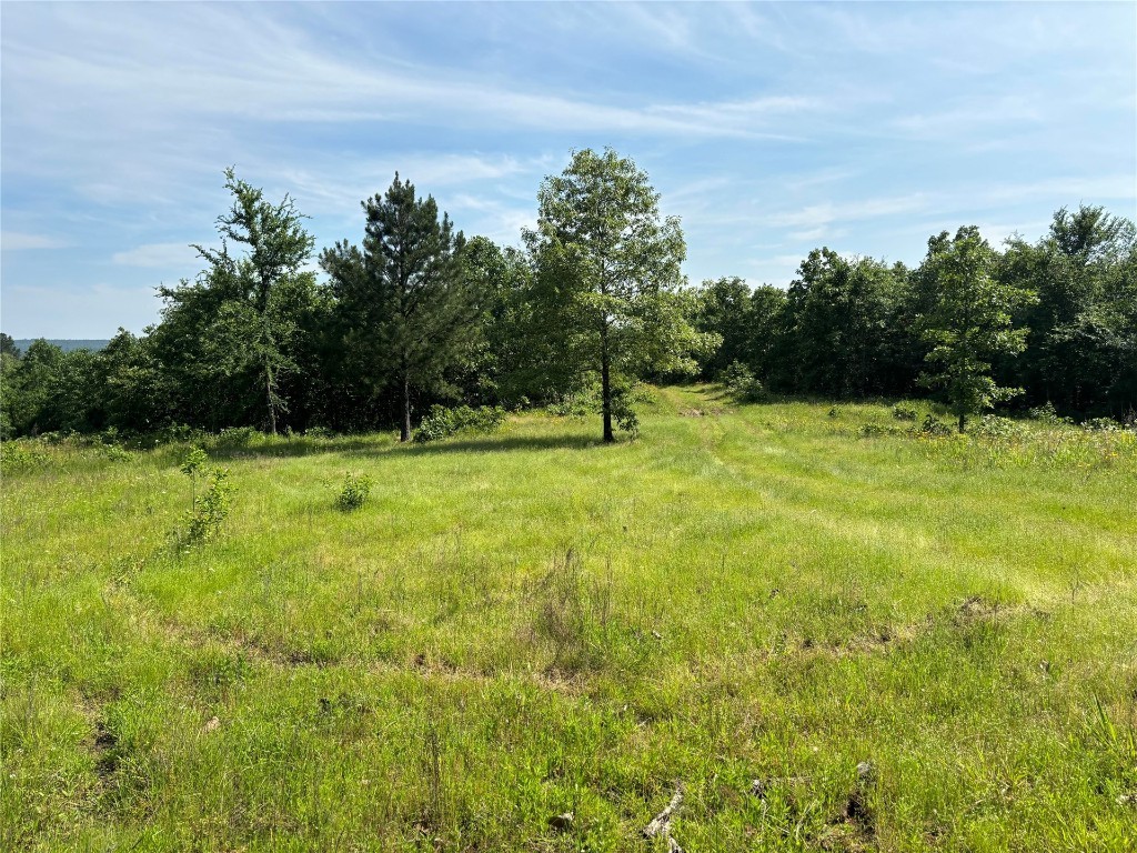 8. NE Cloudy Nashoba Trail Road