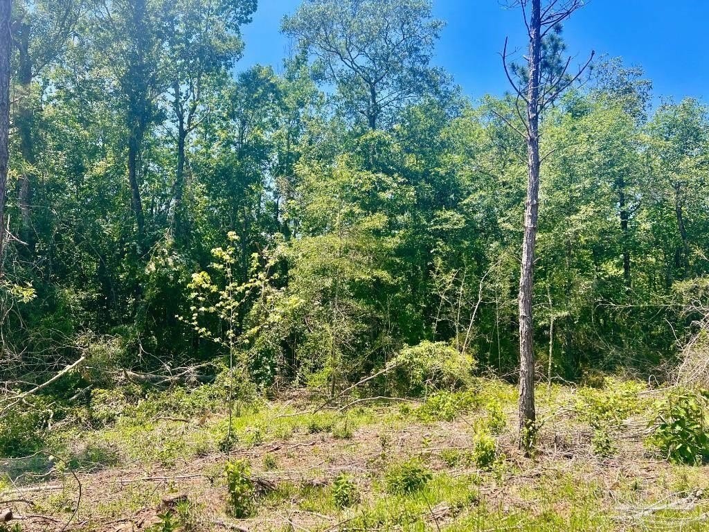 19. Lot 15n Hwy 29