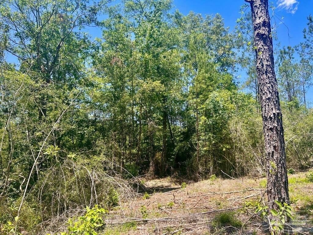 15. Lot 15n Hwy 29