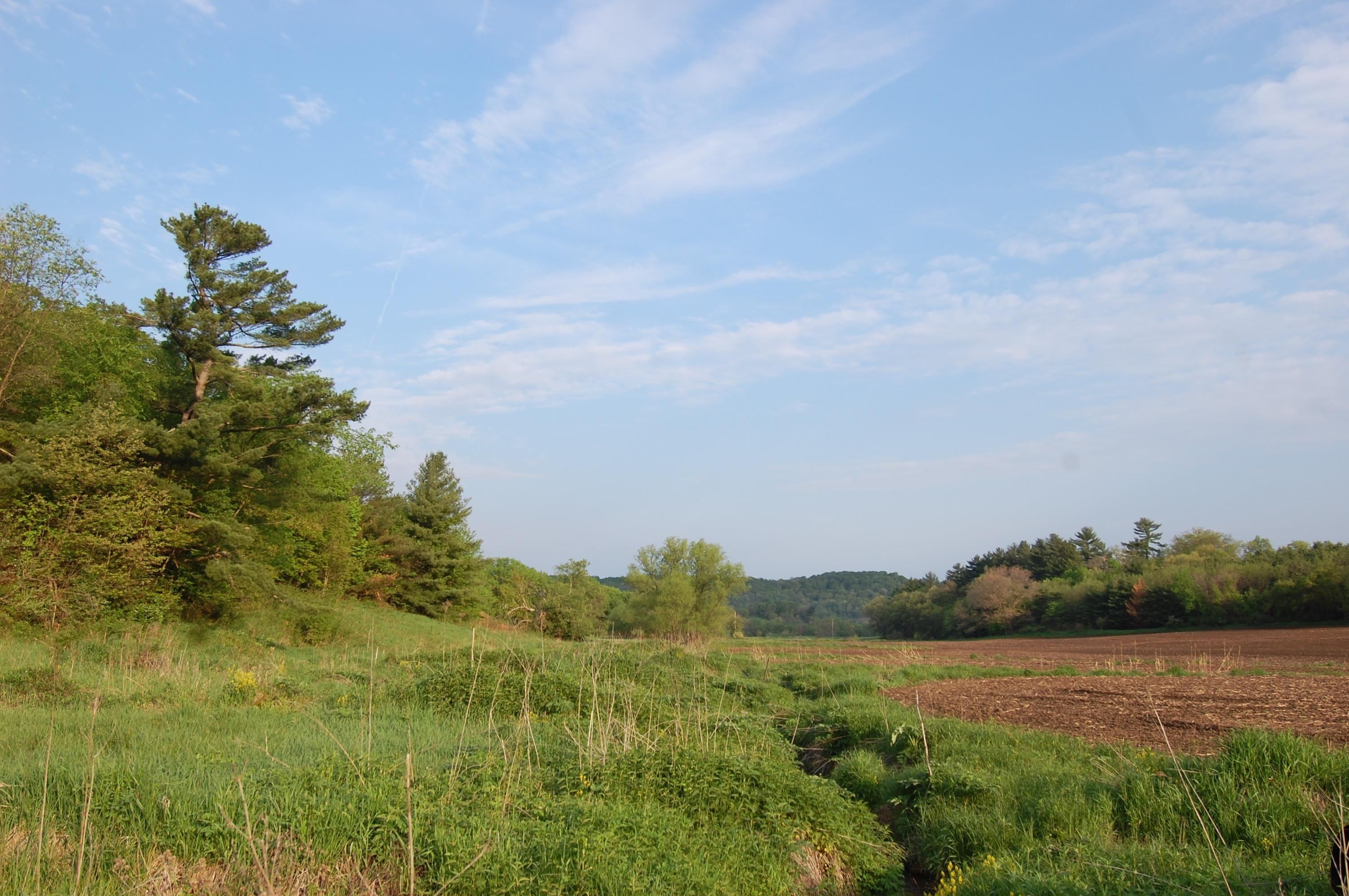 8. 10.81ac Fiddlers Green Road