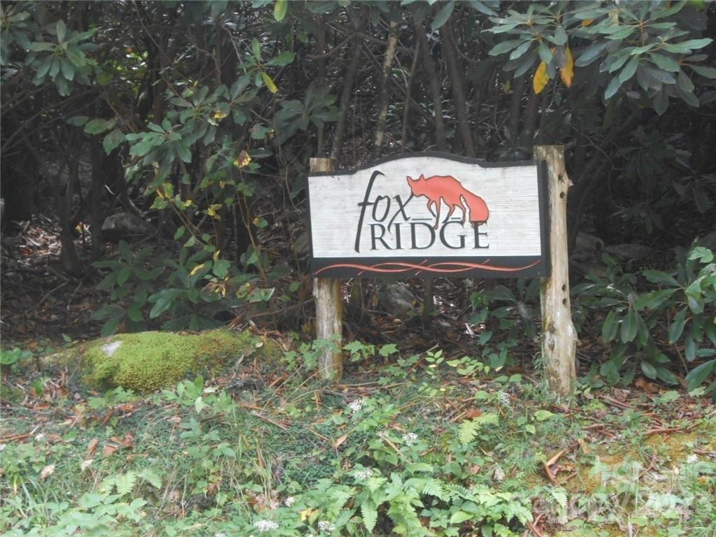 4. Lot 12 Fox Ridge Trail