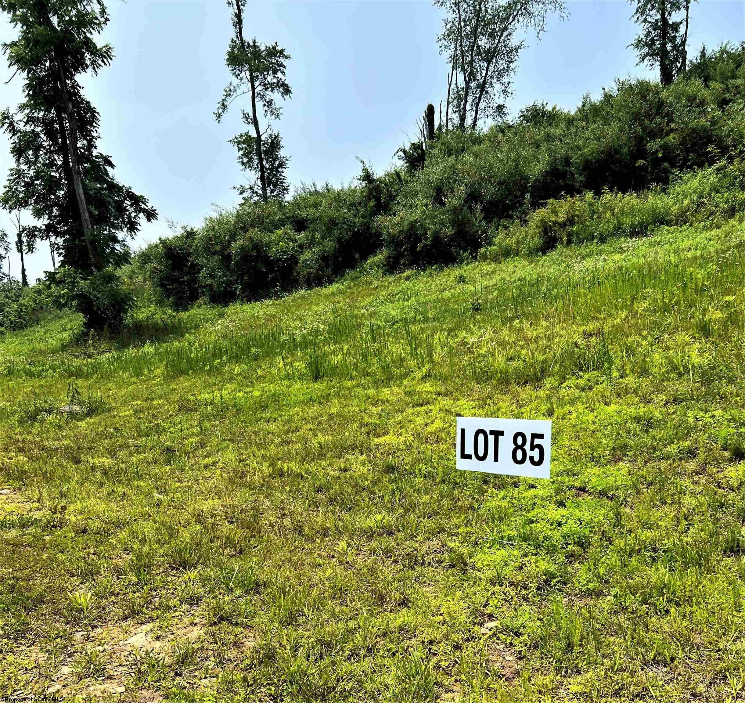 5. Lot 85 Turquoise Way