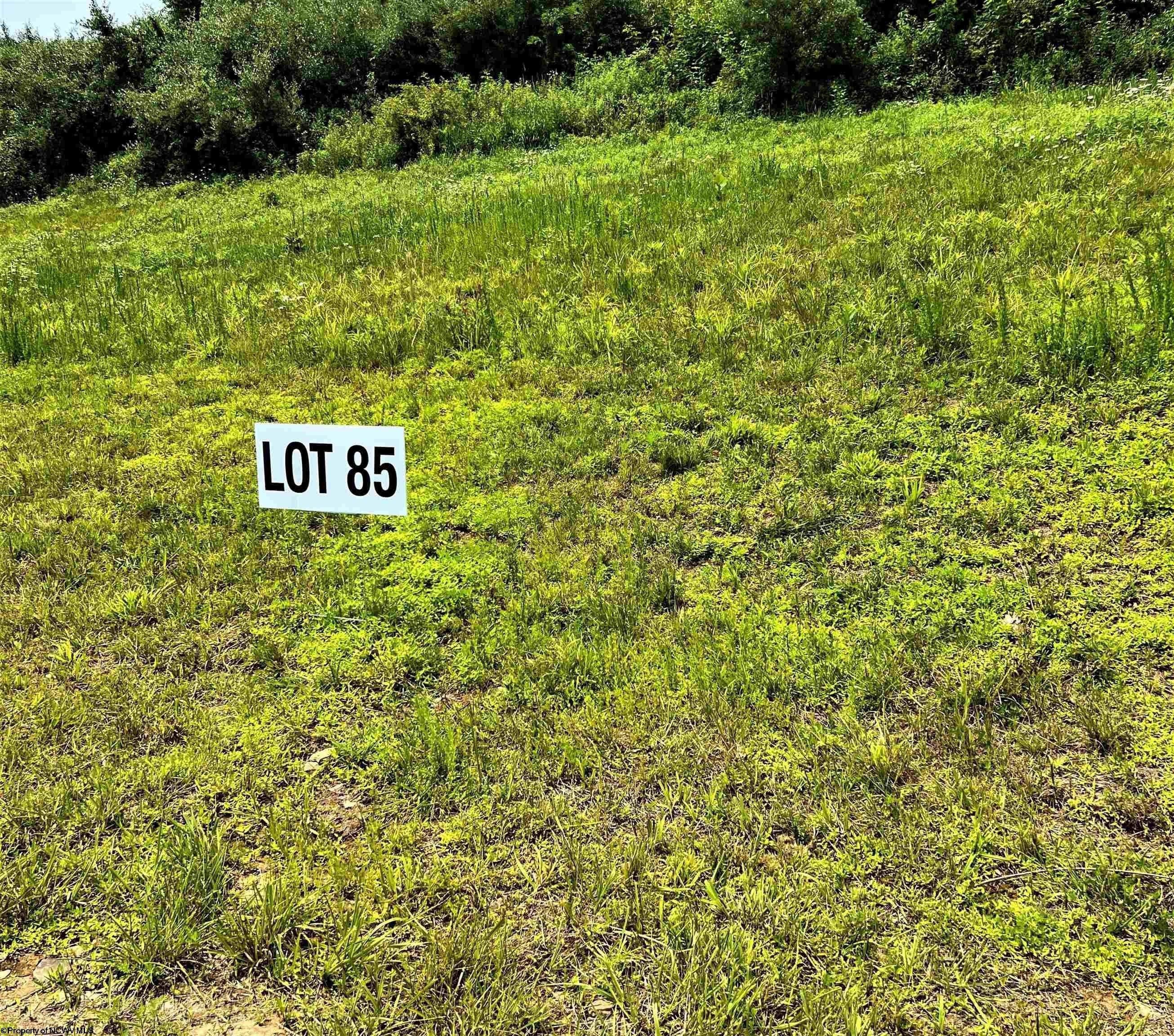 1. Lot 85 Turquoise Way