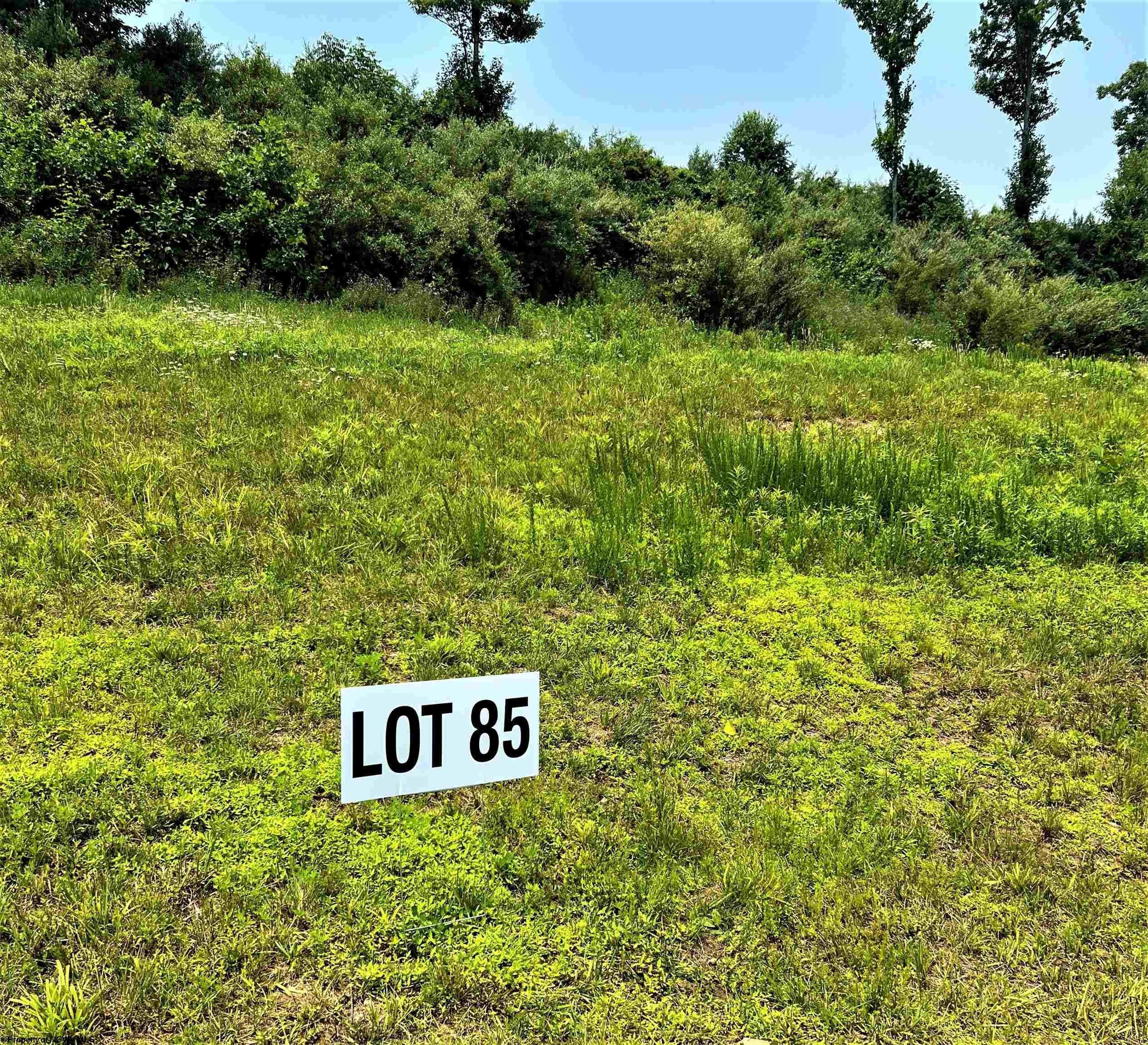 3. Lot 85 Turquoise Way