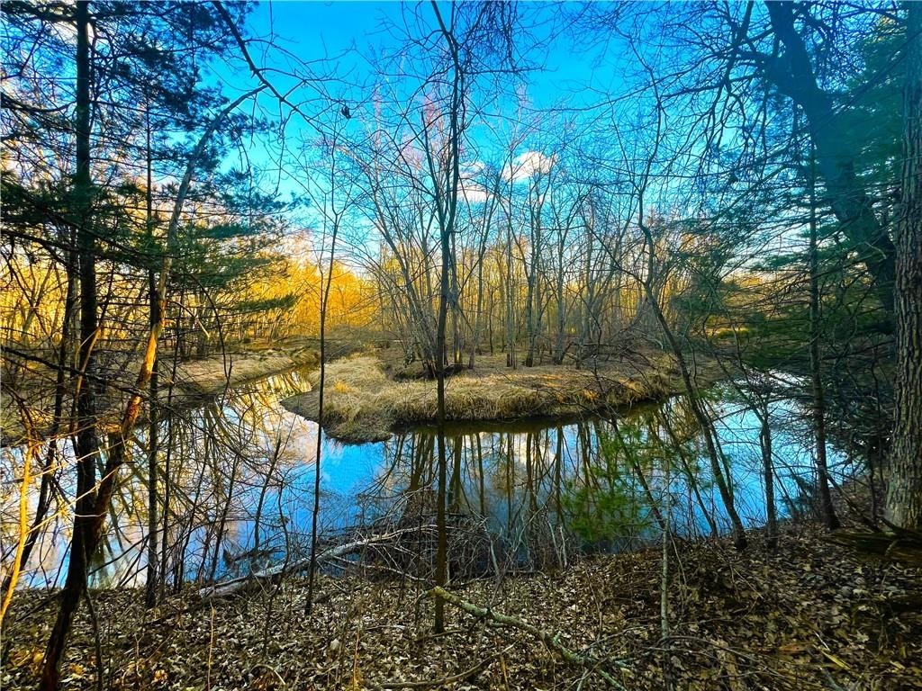 1. 20 Acres On Thornapple Road