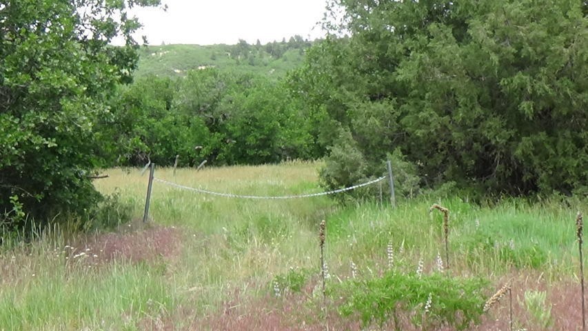 1. Kolob Oak Valley Road