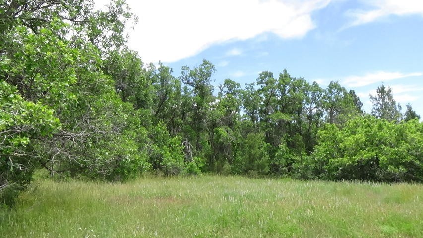 2. Kolob Oak Valley Road