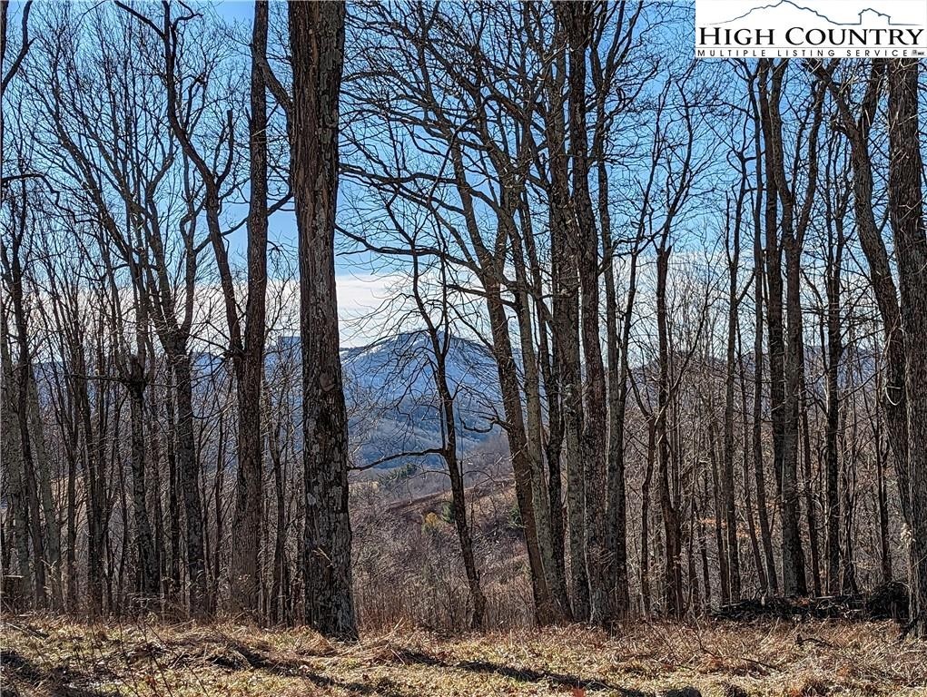 10. Lot 4 Great Sky Monteagle Drive