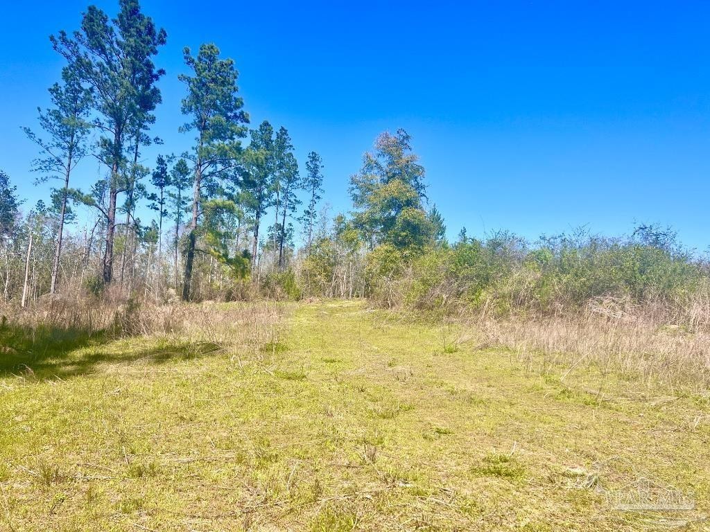 3. Lot 7n Cotton Lake Rd