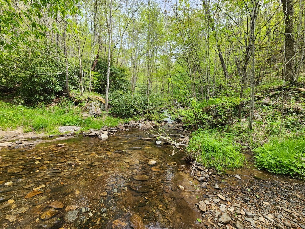 2. Lot 4a North Fork Road