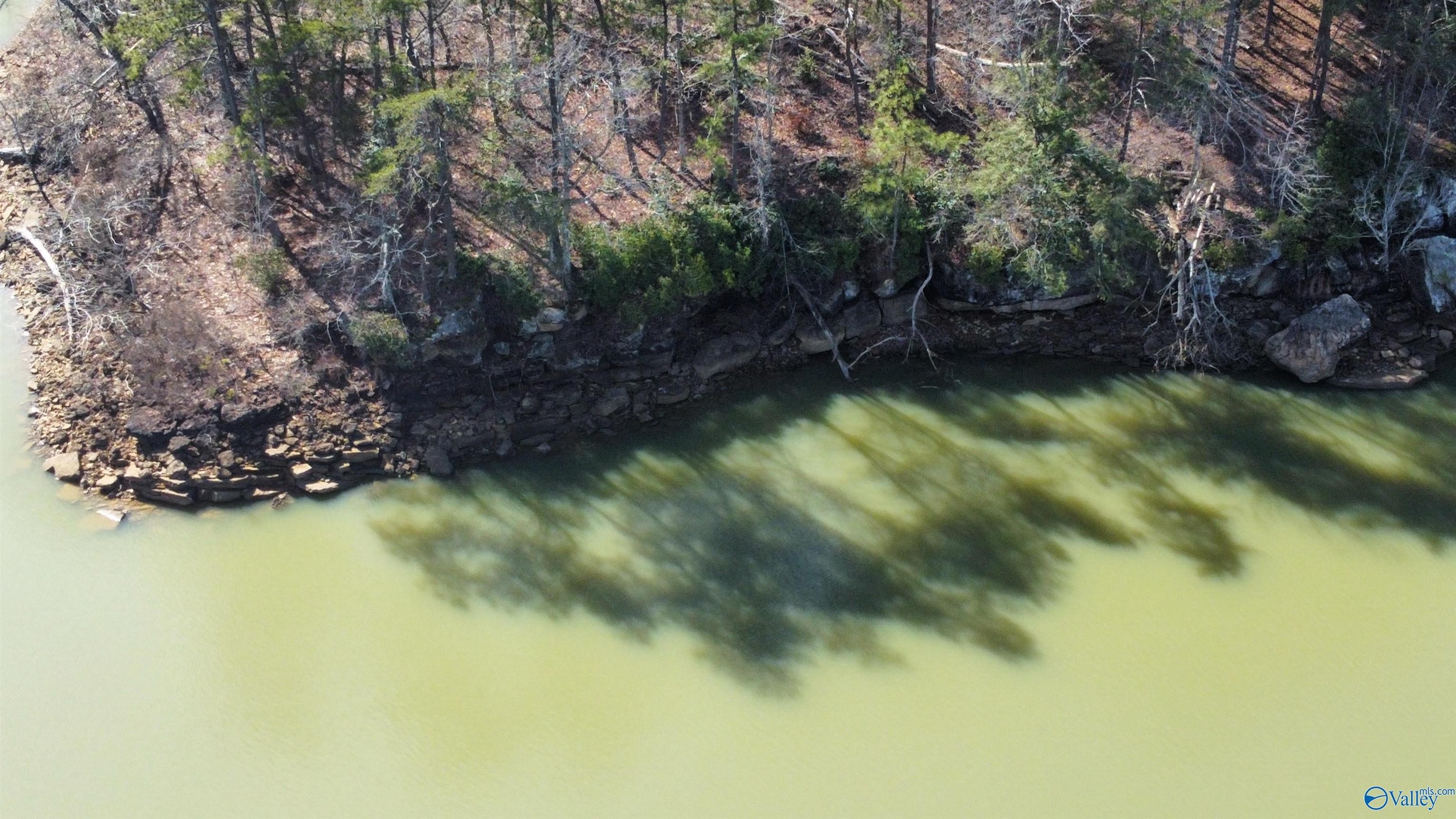 2. Lot 91 Sipsey Overlook