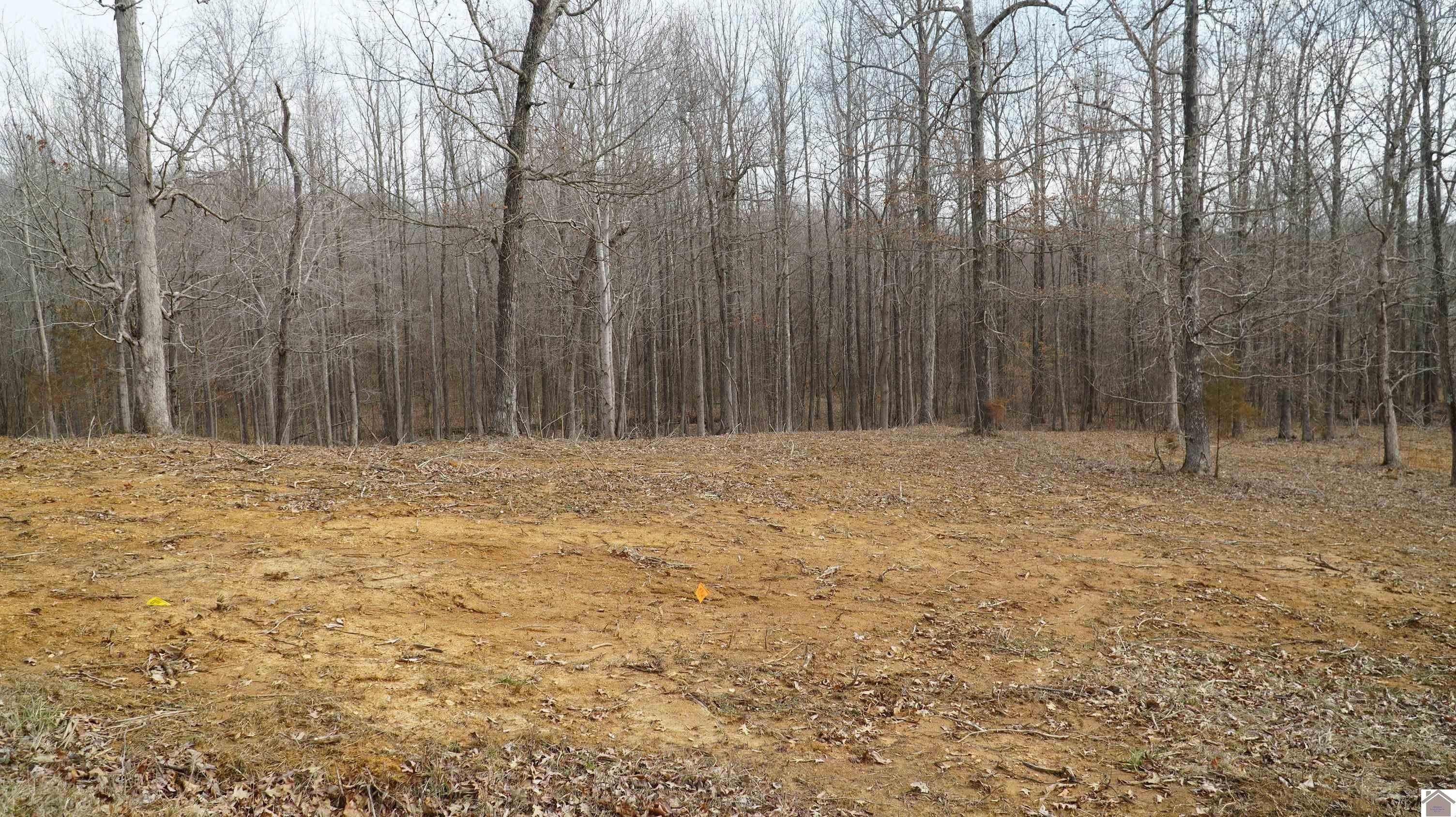 7. 000 Fern Creek Ln - Lot 8