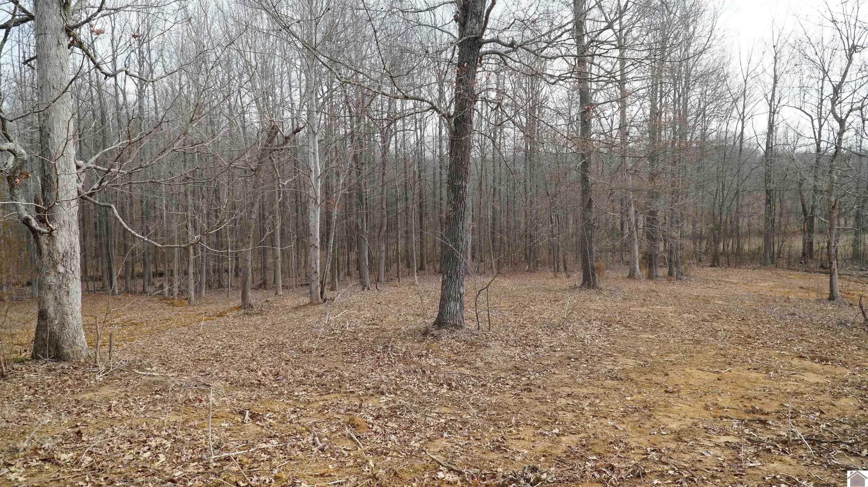 1. 000 Fern Creek Ln - Lot 8