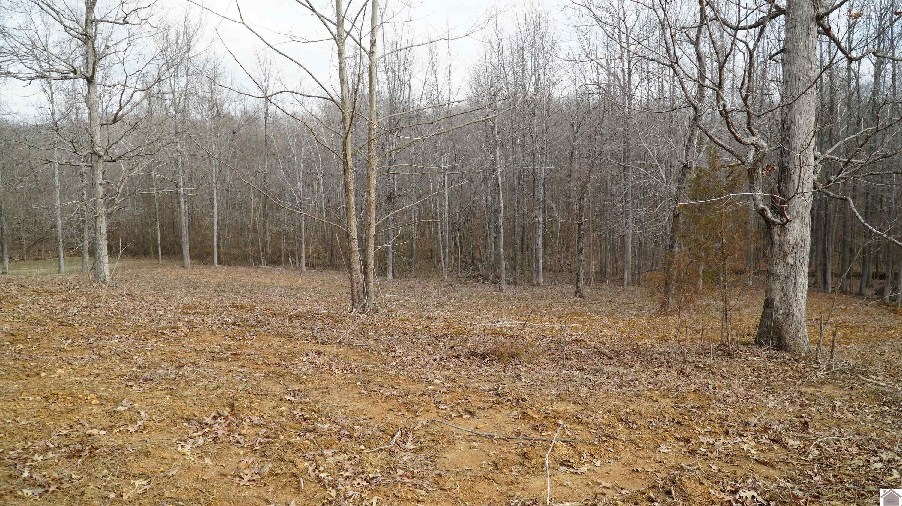 5. 000 Fern Creek Ln - Lot 8