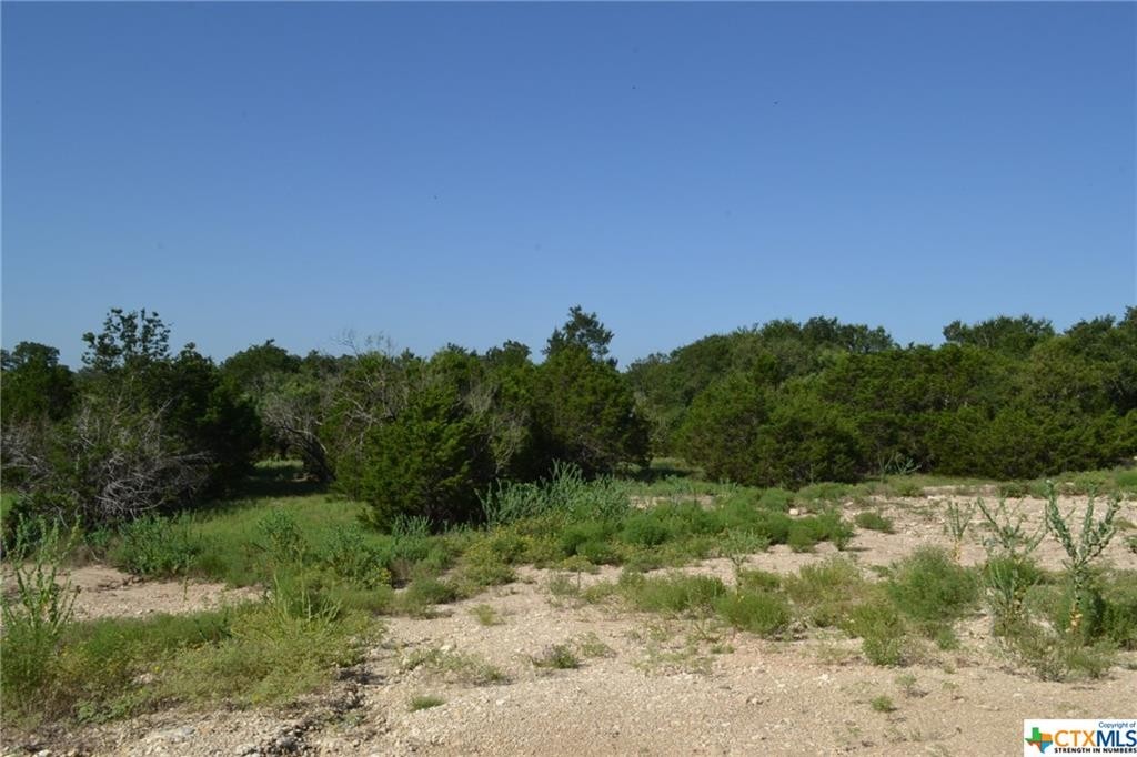2. Block 7, Lot 11 Lampasas River Place Phase Two