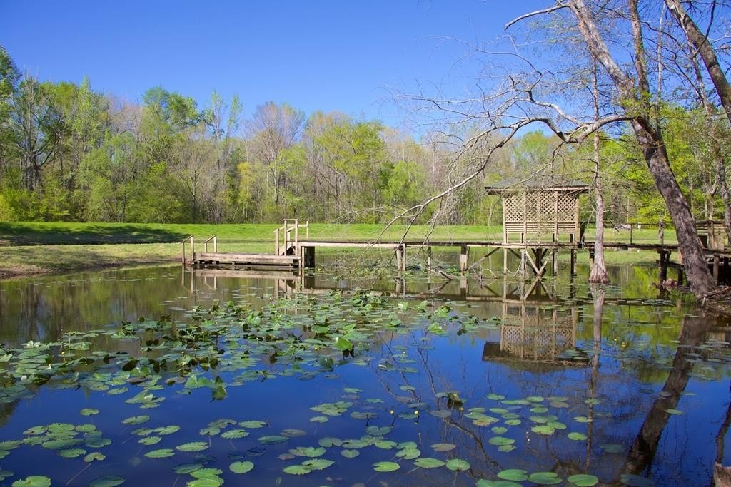 43. Natchez Trace Parkway