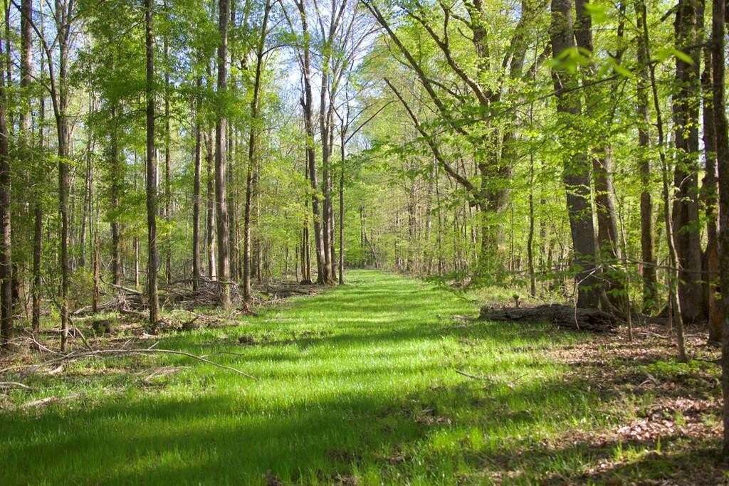 48. Natchez Trace Parkway