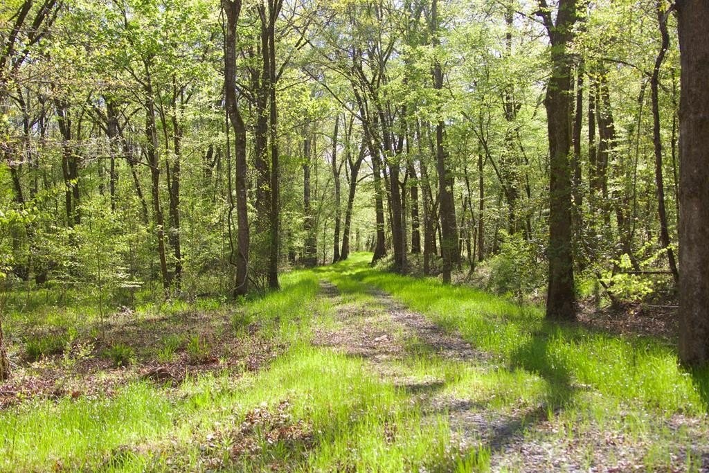 47. Natchez Trace Parkway