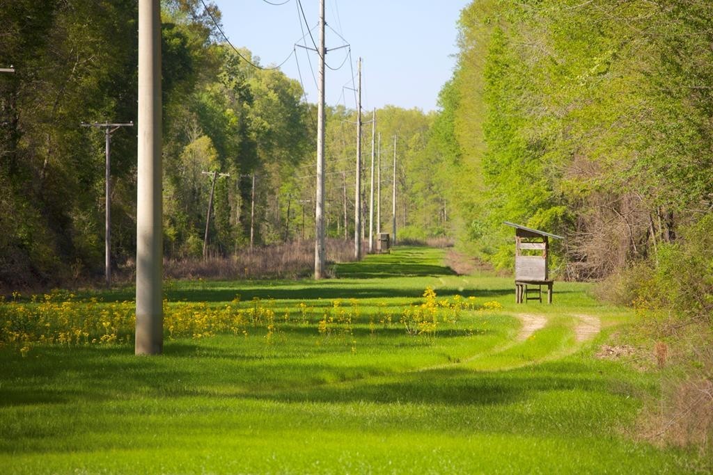 44. Natchez Trace Parkway