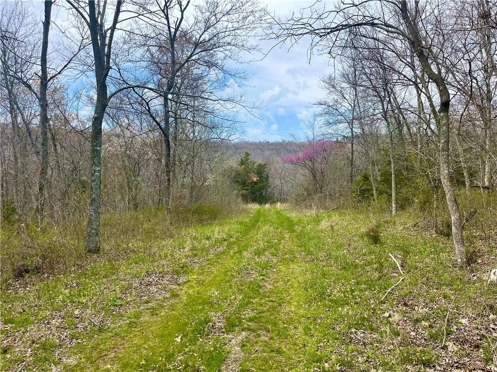 13. 140 Acres (001-09848-000) Lafayette Mountain  Rd