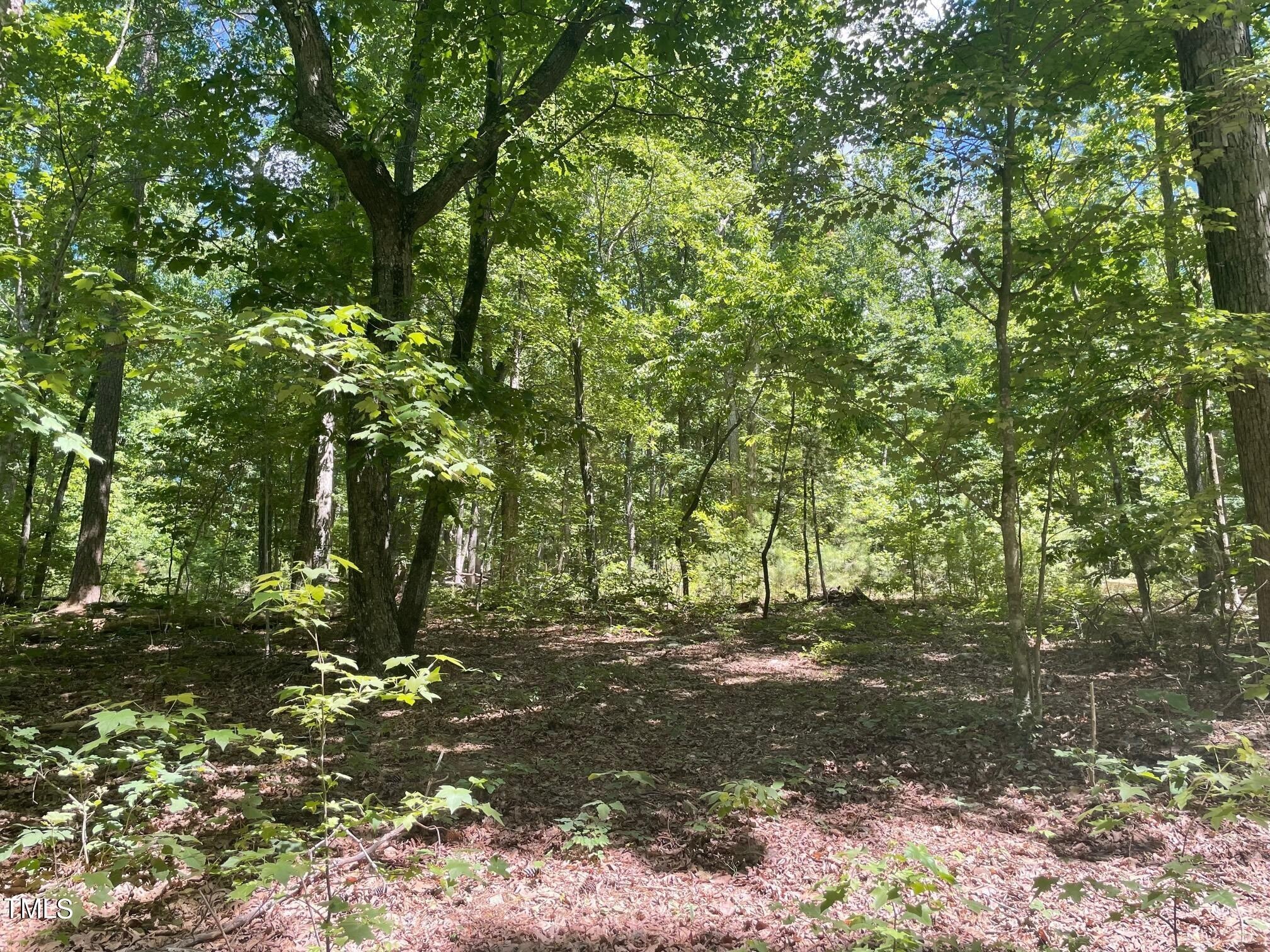 1. 520 Uwharrie Ridge, Chapel Hill Nc 27516