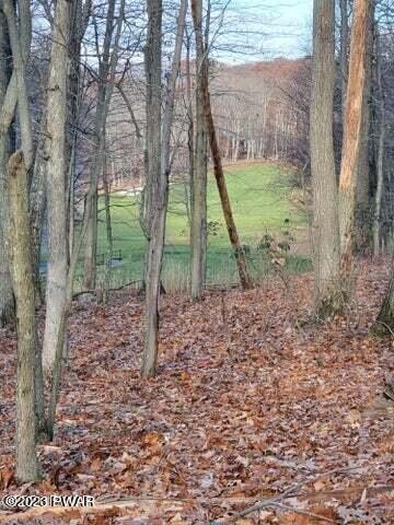 2. Lot 258 Bear Trap Mountain Road Road