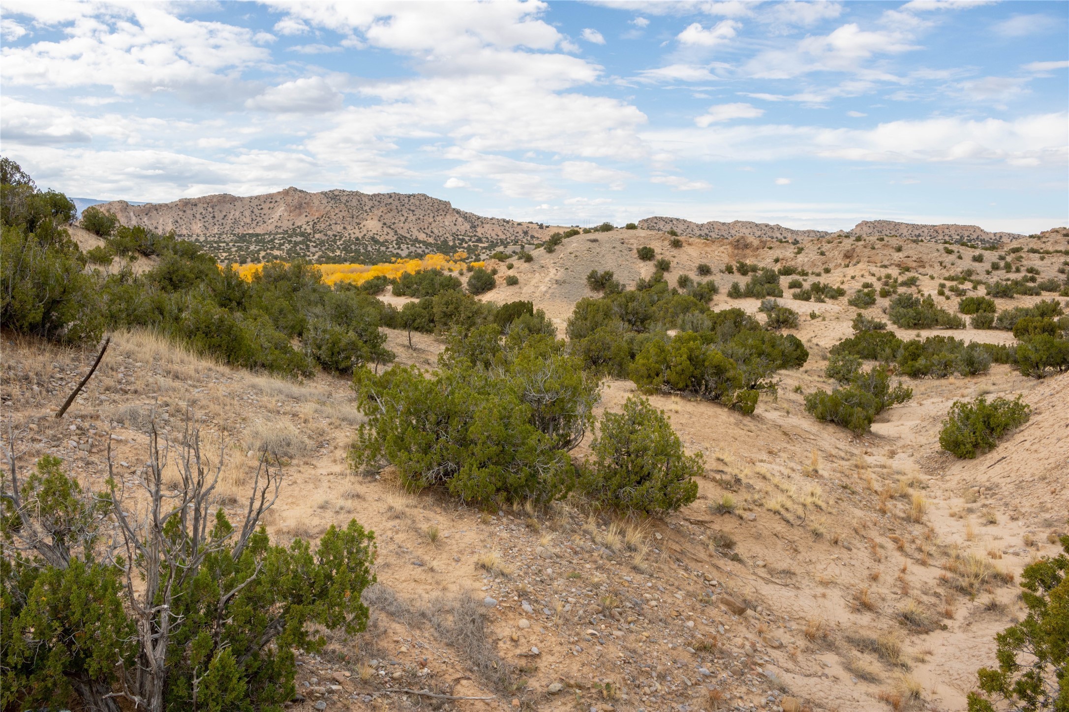 14. Tbd Monte De Luz