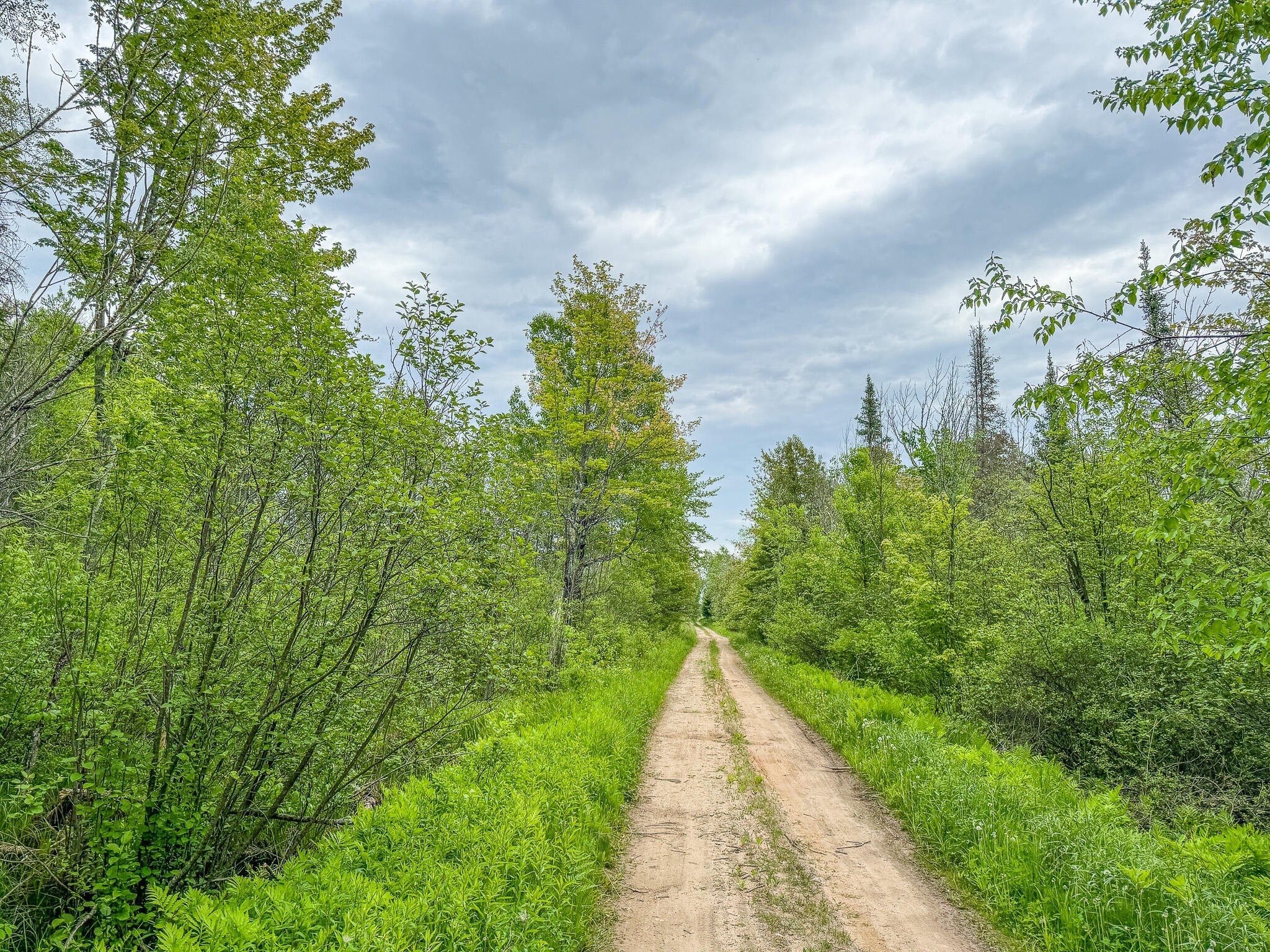 41. 240 Acres 33rd Lane